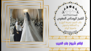 ارقام شيوخ جلب الحبيب