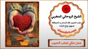 جلب الحبيب