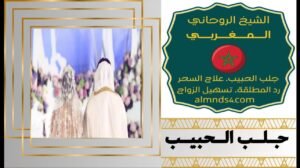 كيف جلب الحبيب